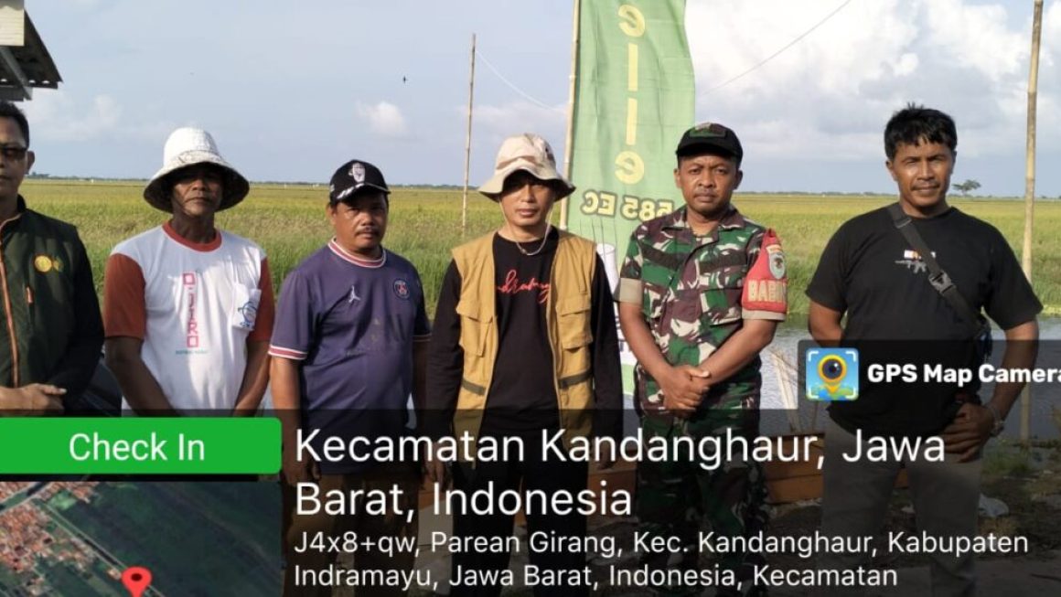 Bulog Indramayu serap gabah petani, Kabid. Tanaman Pangan DKPP lakukan Monitoring