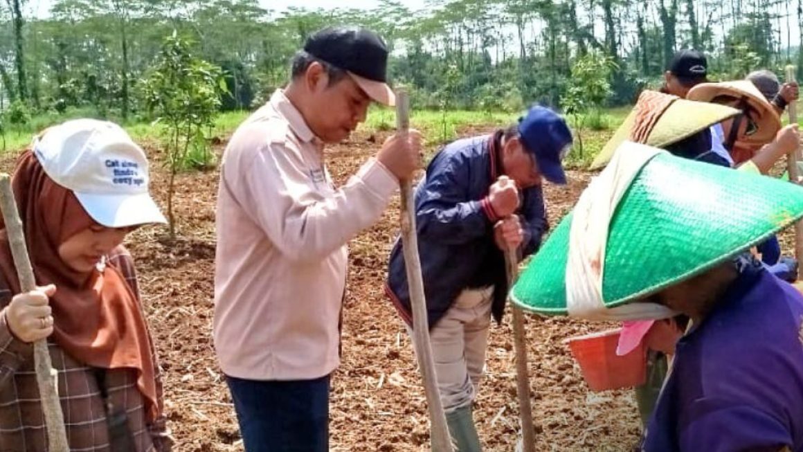 Monitoring penanaman padi gogo di Desa Mekarwaru, Kecamatan Gantar