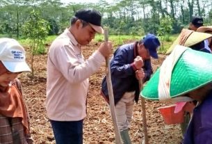 Monitoring penanaman padi gogo di Desa Mekarwaru, Kecamatan Gantar